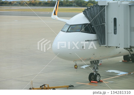 旅客機 134281310