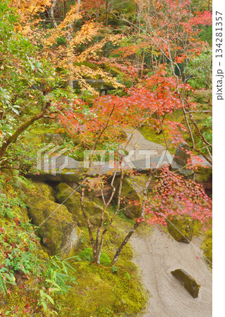 宝泉院の紅葉 134281357