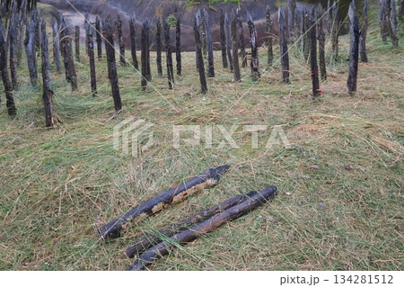 吉野ケ里遺跡の逆茂木 134281512
