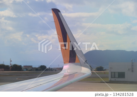 シャークレット 134281528