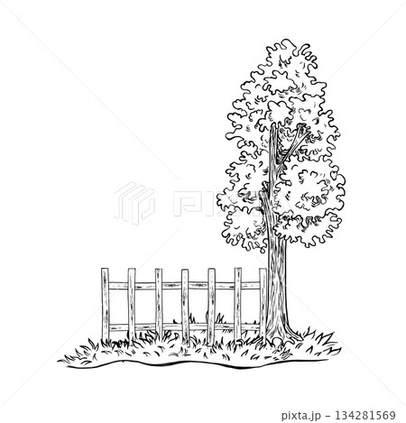 A tree by a wooden fence. Black and white hand-drawn vector graphics. An element of a rural landscape. Perfect for making postcards, banners, flyers, posters, labels, and more. 134281569
