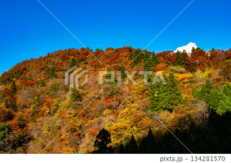 芦津渓谷の紅葉 鳥取県八頭郡智頭町 芦津渓谷の紅葉 鳥取県八頭郡智頭町 134281570