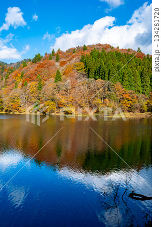 芦津渓谷の三滝ダム湖の紅葉　鳥取県八頭郡智頭町 134281720