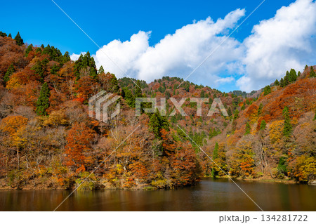 芦津渓谷の三滝ダム湖の紅葉　鳥取県八頭郡智頭町 134281722