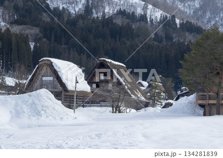 深雪の中に佇む日本の合掌造り集落の全景 134281839