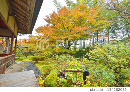 宝泉院の紅葉 宝泉院の紅葉 134282085