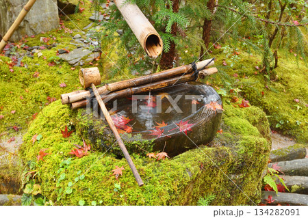 宝泉院の蹲 134282091