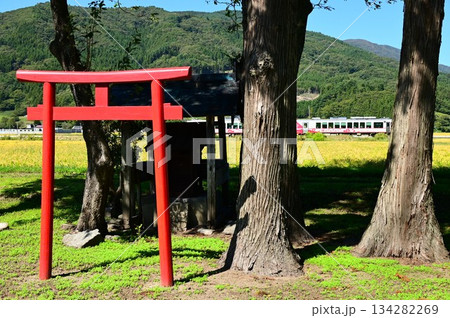 遠野の小さな神社から見える釜石線 134282269