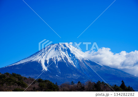 【静岡県】朝霧高原から望む冠雪した富士山 134282282