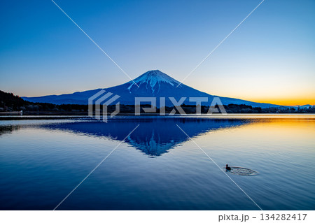 【静岡県】冬の田貫湖・富士山 日の出 【静岡県】冬の田貫湖・富士山 日の出 134282417
