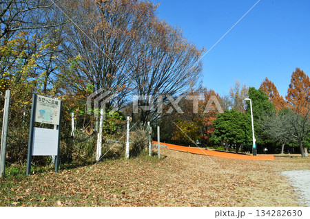 埼玉スタジアム2002公園_08 134282630