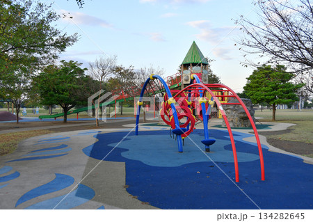 神栖中央公園_12 134282645