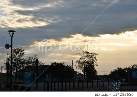 神栖中央公園_24 134282656