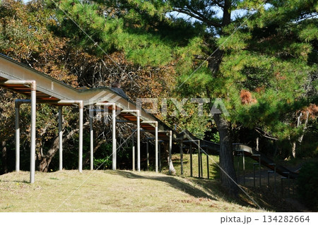 大野潮騒はまなす公園_07 大野潮騒はまなす公園_07 134282664