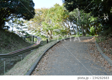 大野潮騒はまなす公園_28 大野潮騒はまなす公園_28 134282683