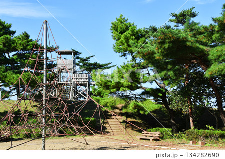 大野潮騒はまなす公園_37 大野潮騒はまなす公園_37 134282690