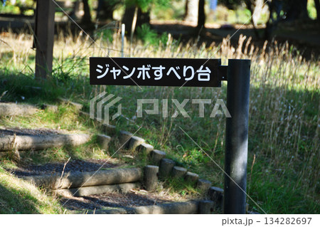 大野潮騒はまなす公園_44 大野潮騒はまなす公園_44 134282697