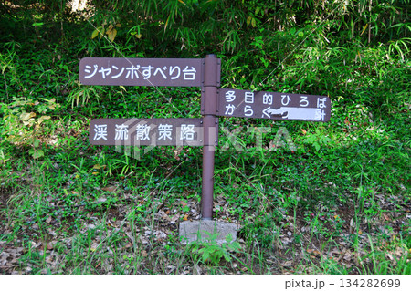 大野潮騒はまなす公園_46 大野潮騒はまなす公園_46 134282699