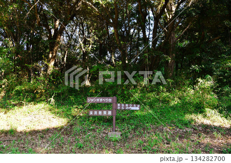 大野潮騒はまなす公園_47 134282700