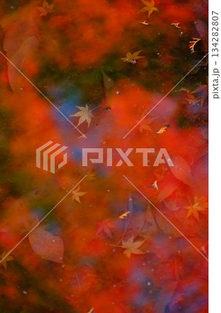 紅葉の水面リフレクションと落葉のイメージ素材 紅葉の水面リフレクションと落葉のイメージ素材 134282807