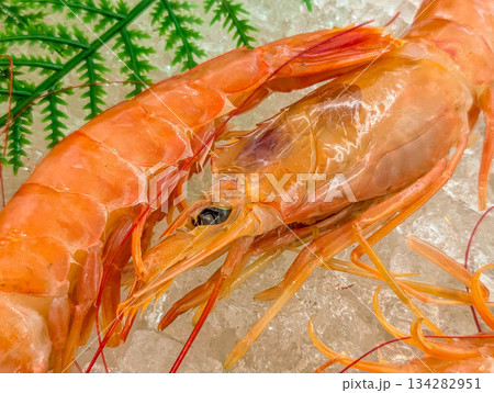 海鮮コーナーのアルゼンチン赤海老 134282951