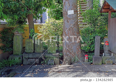 智清寺（板橋） 134282985