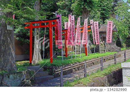 智清寺（板橋） 134282990