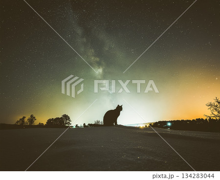 夜空へ続く、時間の道 134283044