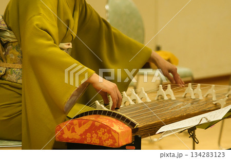 琴演奏13弦 134283123