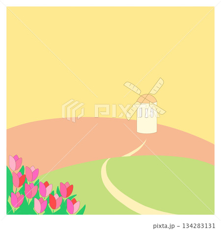 風車とチューリップ 風車とチューリップ 134283131
