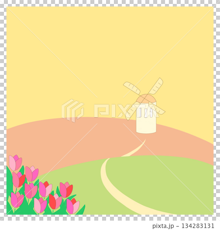 風車とチューリップ 風車とチューリップ 134283131