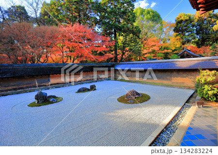 【京都府】龍安寺の石庭と紅葉 134283224