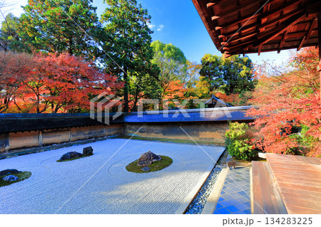 【京都府】龍安寺の石庭と紅葉 134283225