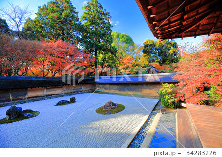 【京都府】龍安寺の石庭と紅葉 134283226