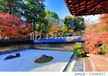 【京都府】龍安寺の石庭と紅葉 134283227