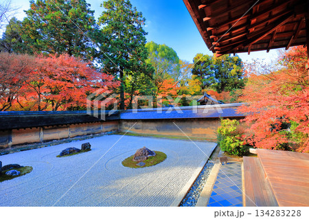 【京都府】龍安寺の石庭と紅葉 134283228