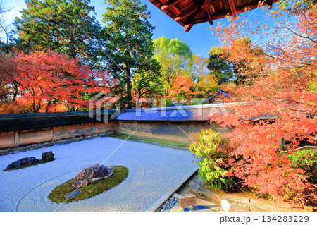【京都府】龍安寺の石庭と紅葉 134283229