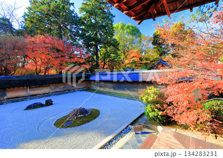 【京都府】龍安寺の石庭と紅葉 134283231