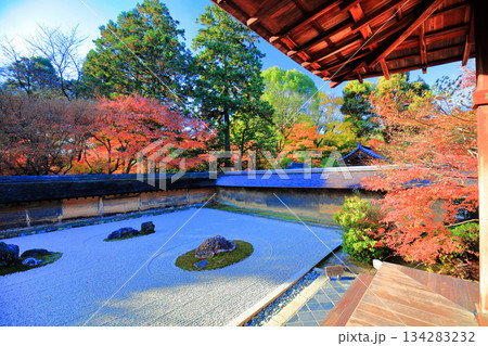 【京都府】龍安寺の石庭と紅葉 134283232
