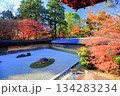 【京都府】龍安寺の石庭と紅葉 134283234