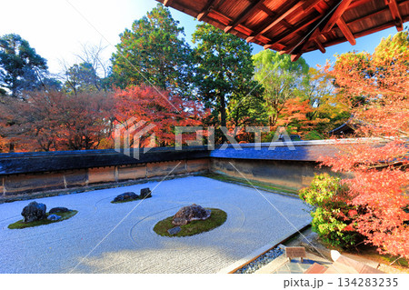 【京都府】龍安寺の石庭と紅葉 【京都府】龍安寺の石庭と紅葉 134283235