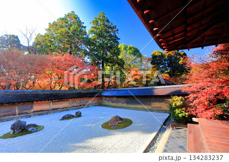 【京都府】龍安寺の石庭と紅葉 134283237