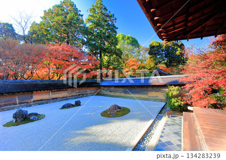 【京都府】龍安寺の石庭と紅葉 134283239