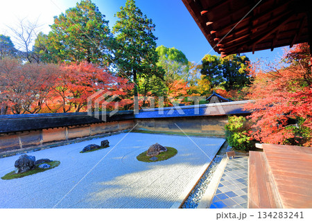【京都府】龍安寺の石庭と紅葉 【京都府】龍安寺の石庭と紅葉 134283241