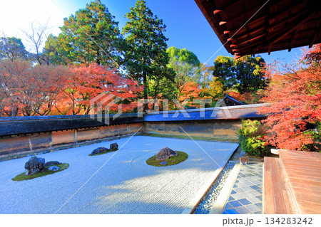 【京都府】龍安寺の石庭と紅葉 【京都府】龍安寺の石庭と紅葉 134283242