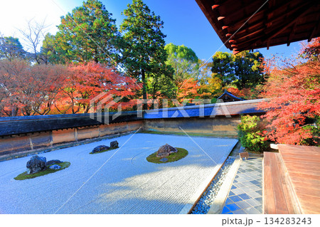 【京都府】龍安寺の石庭と紅葉 【京都府】龍安寺の石庭と紅葉 134283243