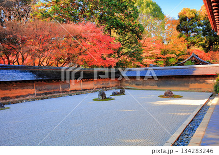 【京都府】龍安寺の石庭と紅葉 【京都府】龍安寺の石庭と紅葉 134283246