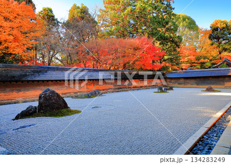 【京都府】龍安寺の石庭と紅葉 134283249