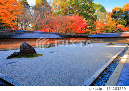 【京都府】龍安寺の石庭と紅葉 134283250
