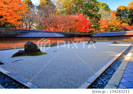 【京都府】龍安寺の石庭と紅葉 【京都府】龍安寺の石庭と紅葉 134283251